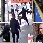 New details emerge about suspect in daylight stabbing on San Francisco street