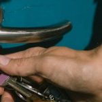 Security Experts Reveal: The #1 Entry Point for Home Burglaries in Henderson Right Now