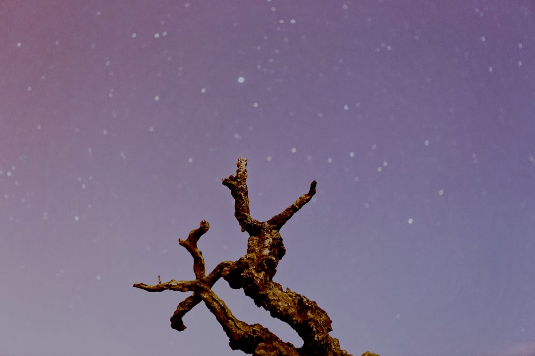 Scorpio Horoscope  11 Mar 2026