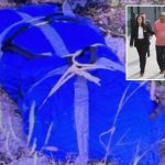 Husband, 75, busted after dismembered remains of his much-younger wife found scattered in NYC: cops