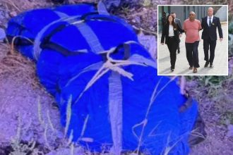 Husband, 75, busted after dismembered remains of his much-younger wife found scattered in NYC: cops