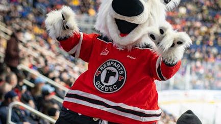 The 7 Types of People You Only Meet at a Vegas Golden Knights Game