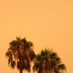 'Dangerous' heat wave warning issued for Southern California next week