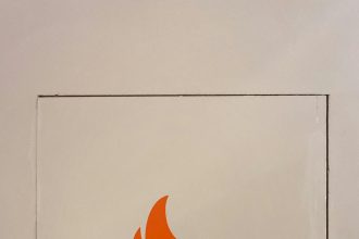 CARTOON: Friendly fire