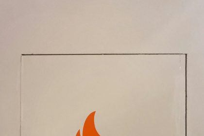 CARTOON: Friendly fire