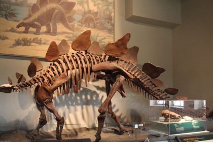 The 9 Most Expensive Things Ever Sold - Who Actually Bought These?