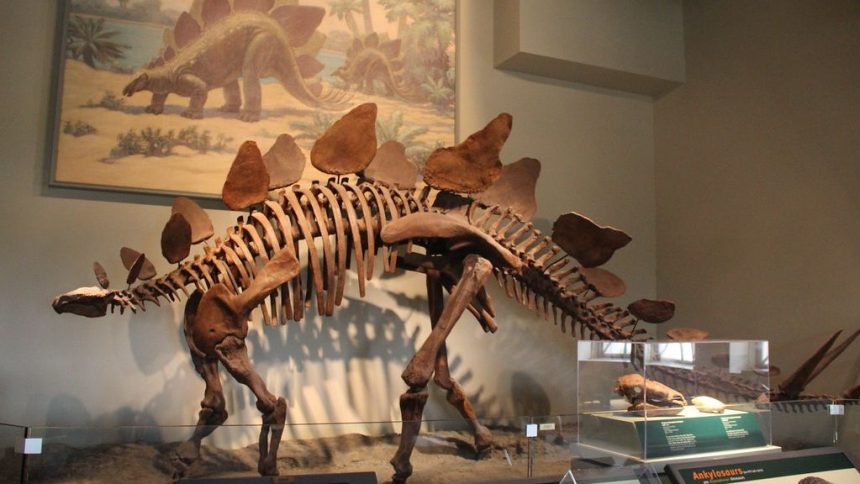 The 9 Most Expensive Things Ever Sold - Who Actually Bought These?