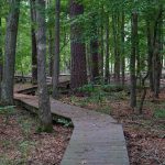 8 Secret Hiking Trails Within 20 Minutes of the Strip That Aren't Red Rock