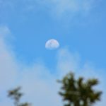 Virgo Horoscope 19 Mar 2026