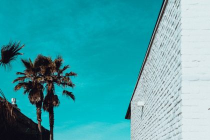 Millionaire may have been decomposing for days before bizarre standoff involving ‘Blues Brother’ suspect