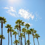 California town ties all-time March temperature record in US; Phoenix sees 102
