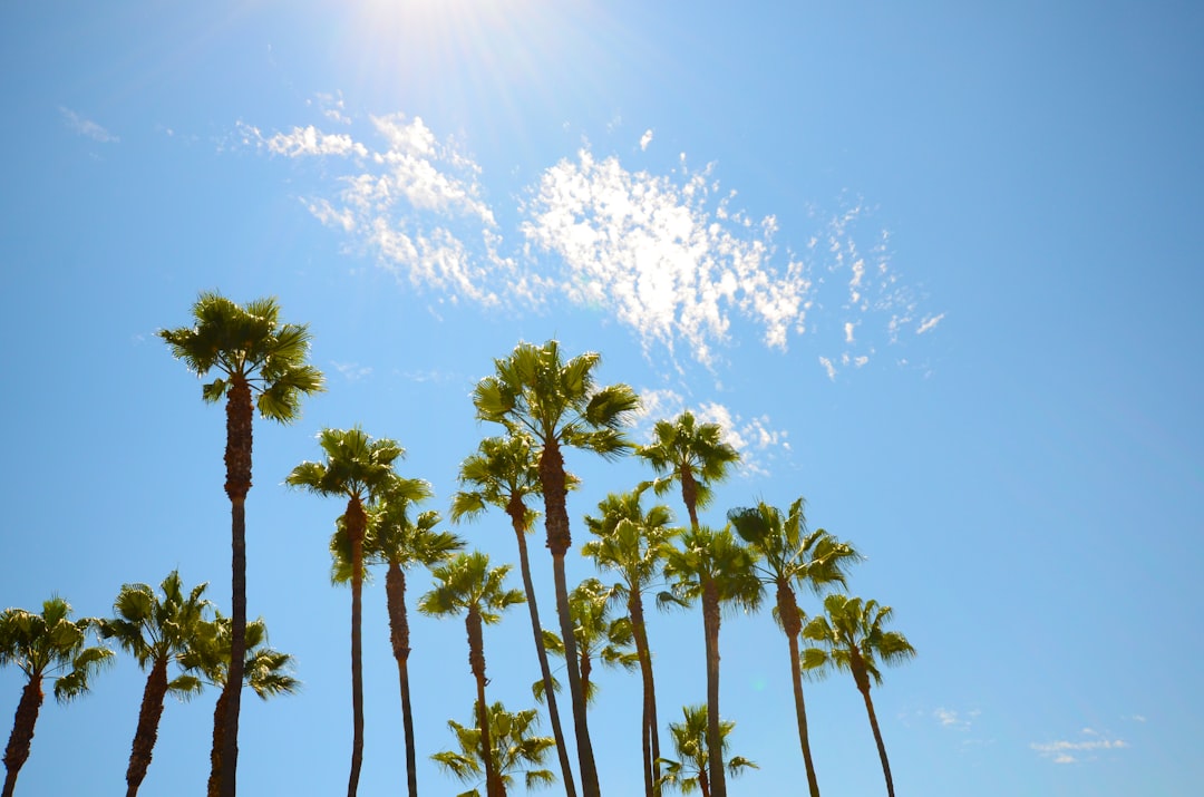 California town ties all-time March temperature record in US; Phoenix sees 102