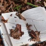 12 Historical Fiction Books That Feel More Real Than History