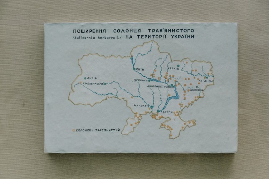 Trump showed off a classified map during a 2022 plane trip, a Democratic lawmaker alleges