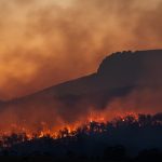 LETTER: Adapting to global warming