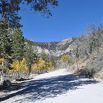 Where to Go Sledding Near Las Vegas: Yes, There's Real Snow 45 Minutes Away