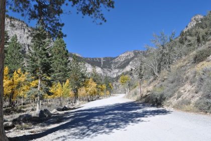 Where to Go Sledding Near Las Vegas: Yes, There's Real Snow 45 Minutes Away
