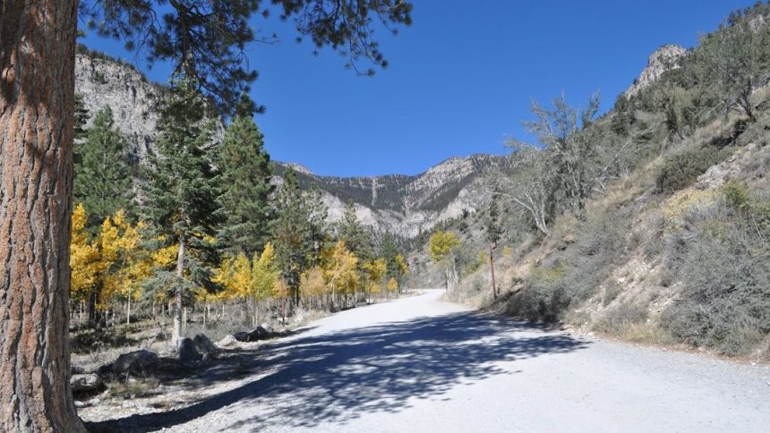 Where to Go Sledding Near Las Vegas: Yes, There's Real Snow 45 Minutes Away