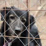 LETTER: The tear-jerker ads