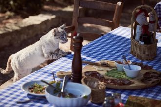 The 'Points Pivot': Which Rewards Card Actually Gets You a Free Meal in 2026?