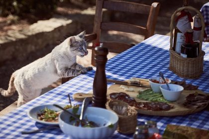 The 'Points Pivot': Which Rewards Card Actually Gets You a Free Meal in 2026?