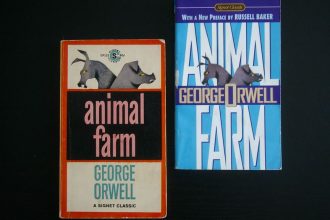 6 Short Books That Hit Like a Freight Train