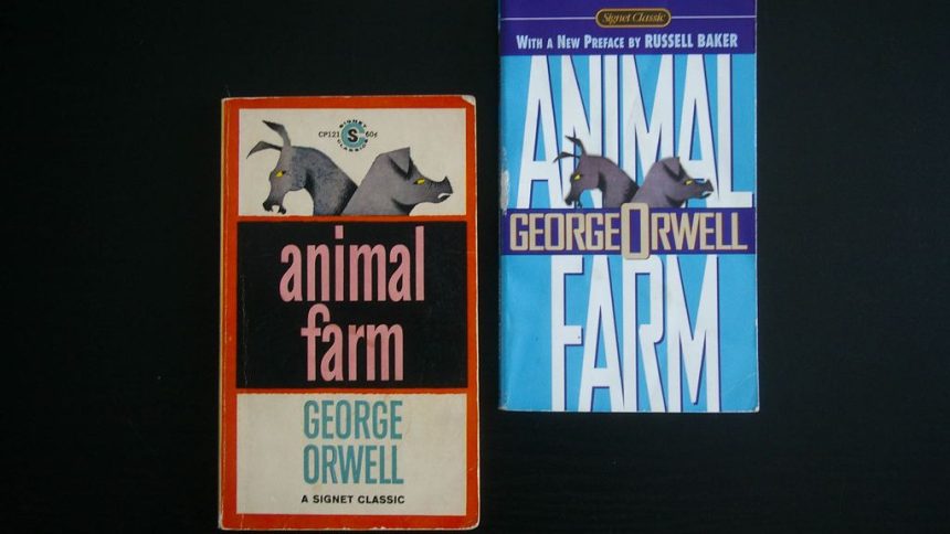 6 Short Books That Hit Like a Freight Train