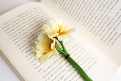 4 Epic Coming-of-Age Books You Wish You Read Sooner