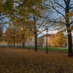 Why the 'Great Relocation' of 2025 is Suddenly Reversing Direction