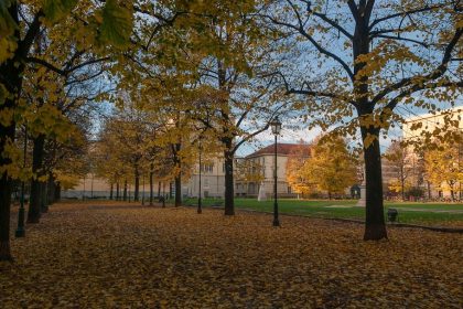 Why the 'Great Relocation' of 2025 is Suddenly Reversing Direction