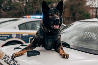 Police: 35 dogs rescued, 2 arrested in suspected abuse