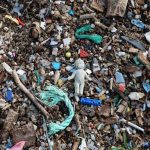 The 'Micro-Plastic' Map: Which Bottled Water Brands Actually Tested the Cleanest?