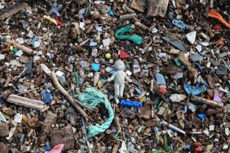 The 'Micro-Plastic' Map: Which Bottled Water Brands Actually Tested the Cleanest?