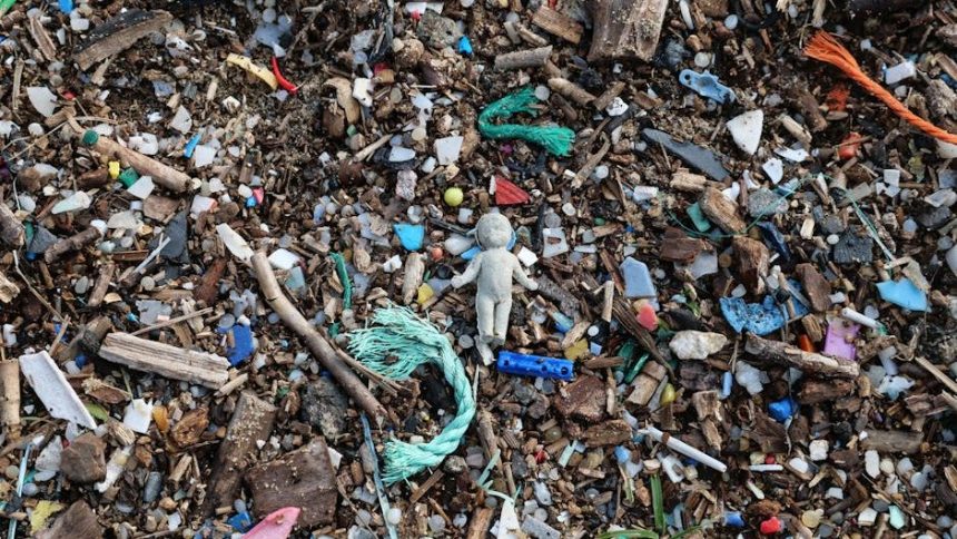 The 'Micro-Plastic' Map: Which Bottled Water Brands Actually Tested the Cleanest?