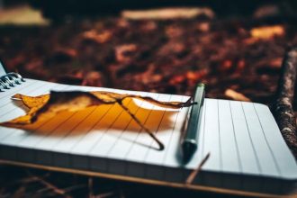 11 Opening Lines That Hook You Instantly