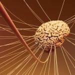 9 When a Misprint in a Textbook Changed What We Believe