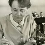 7 Discoveries Made by Accident - Then Buried for Decades