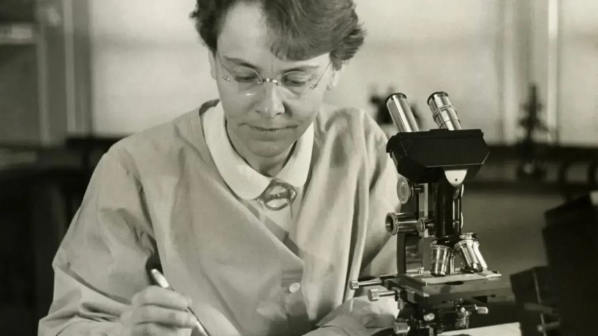 7 Discoveries Made by Accident - Then Buried for Decades
