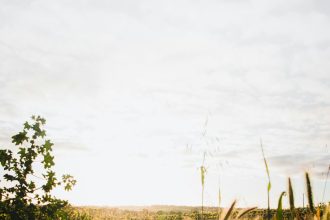 LETTER: A heartfelt plea