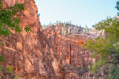 ‘Just look down’: Wildflowers abound on Red Rock Canyon trails