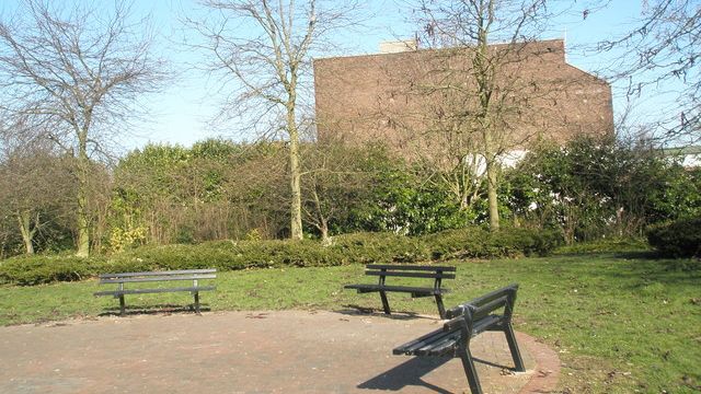 Hidden Parks: The Best Green Spaces to Escape the Desert Heat