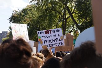 COMMENTARY: Environmentalists are fighting our living standards in court