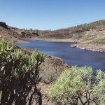 The Rise of Lake Las Vegas: Why Retirees Are Choosing Water Over Neon