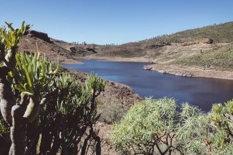 The Rise of Lake Las Vegas: Why Retirees Are Choosing Water Over Neon