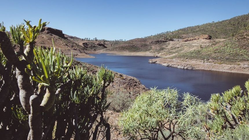 The Rise of Lake Las Vegas: Why Retirees Are Choosing Water Over Neon