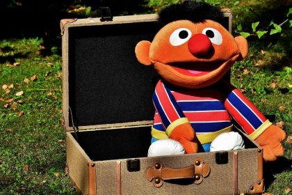 4 Educational Shows That Became Valuable Learning Tools Over Time