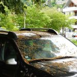 7 Accidental Discoveries That Helped Crack Major Crime Cases