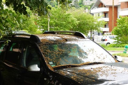 7 Accidental Discoveries That Helped Crack Major Crime Cases