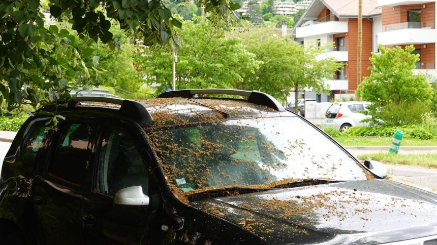 7 Accidental Discoveries That Helped Crack Major Crime Cases