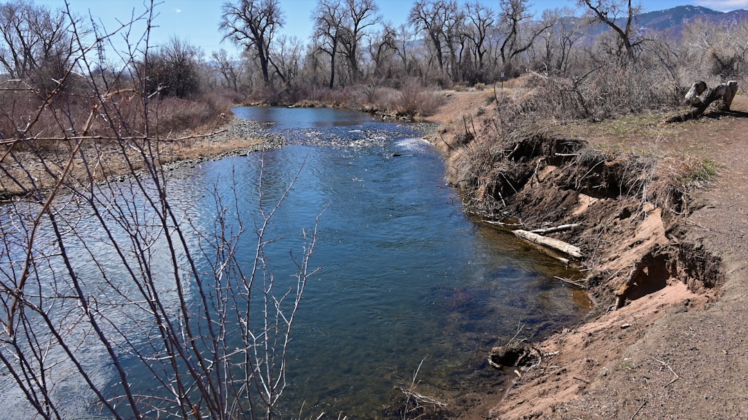 Man drowns in Colorado River while trying to retrieve hat, police say